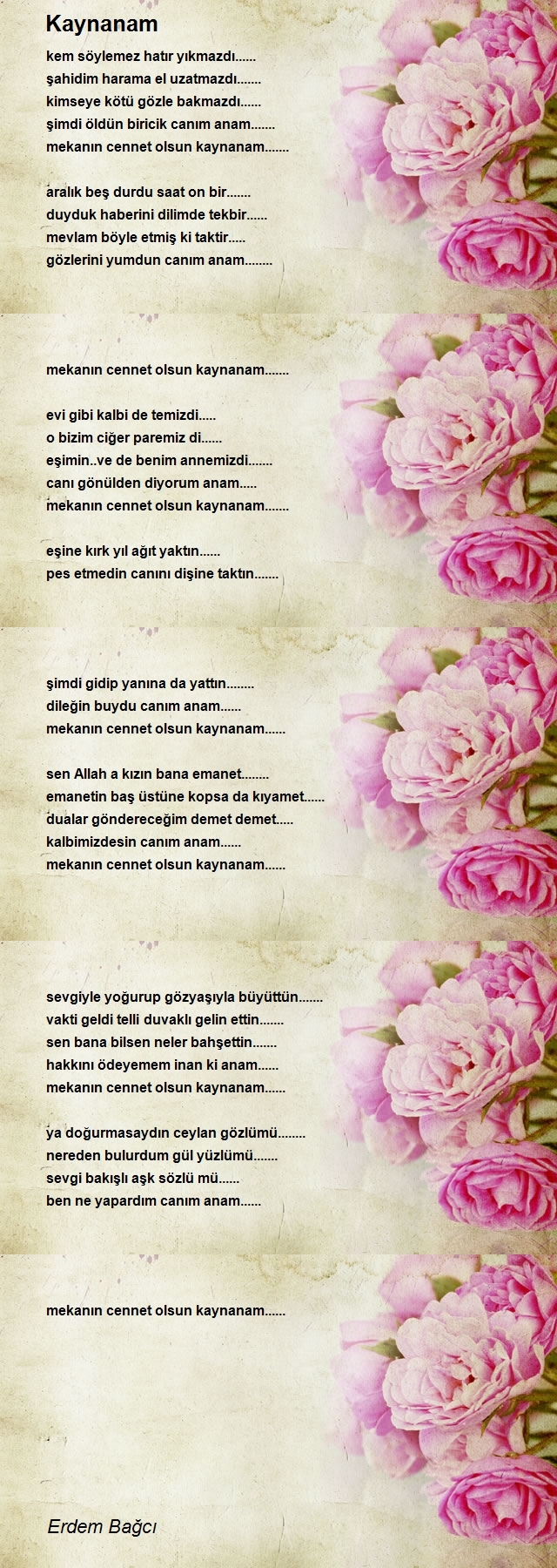 Erdem Bağcı