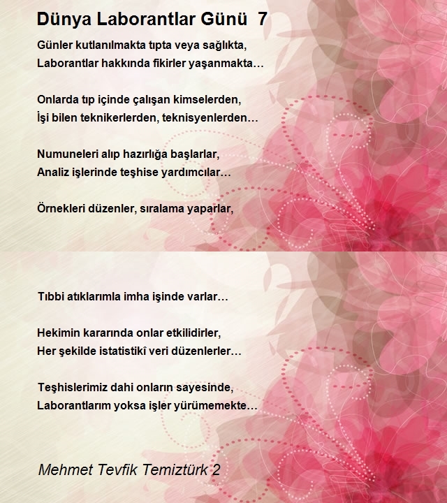 Mehmet Tevfik Temiztürk 2