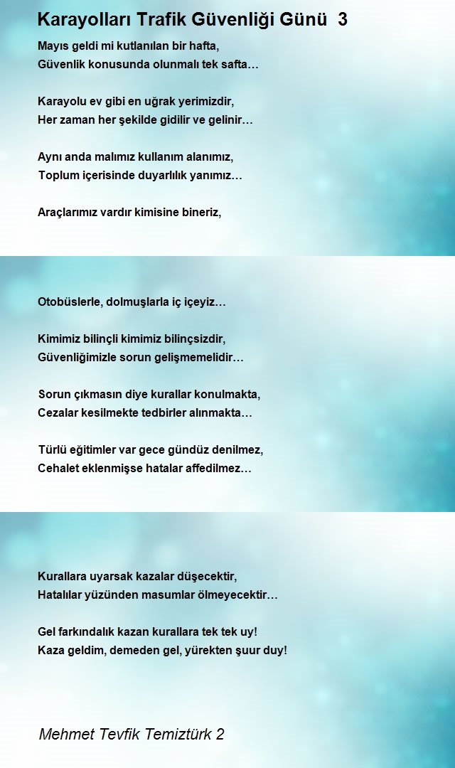 Mehmet Tevfik Temiztürk 2