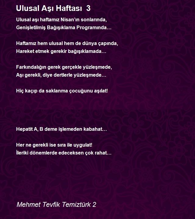 Mehmet Tevfik Temiztürk 2