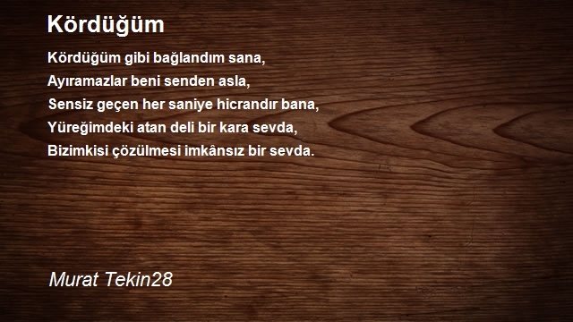 Murat Tekin28