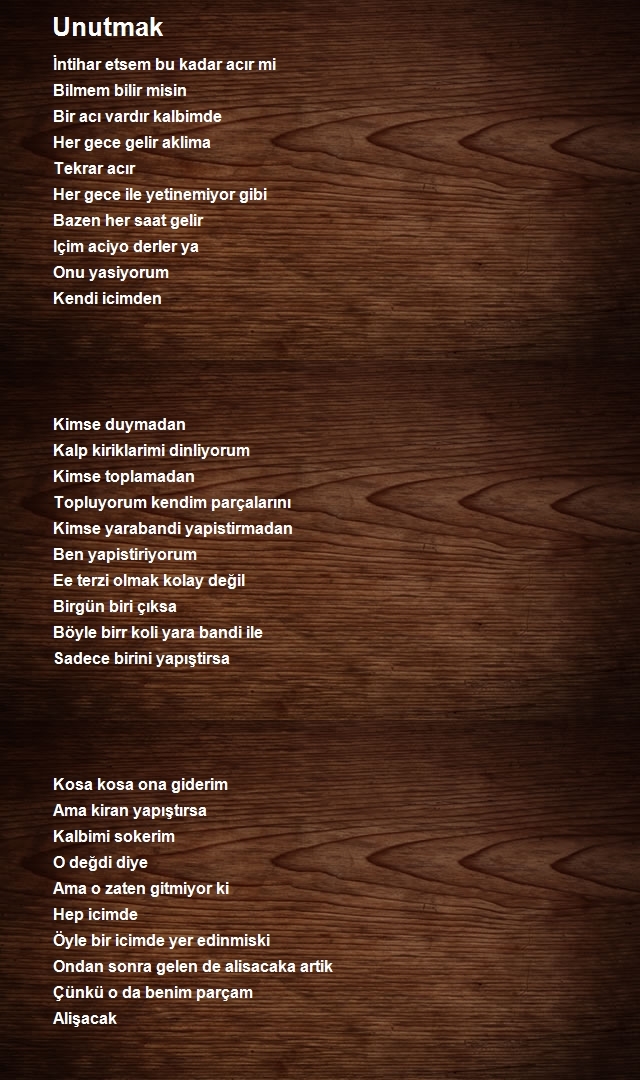 Ceren Akkoyun