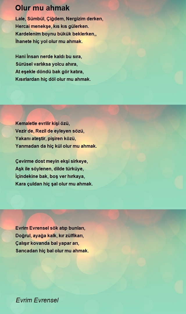 Evrim Evrensel