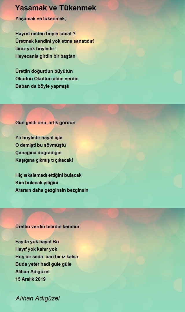 Alihan Adıgüzel