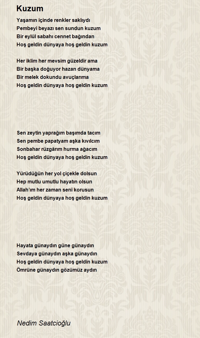 Nedim Saatcioğlu
