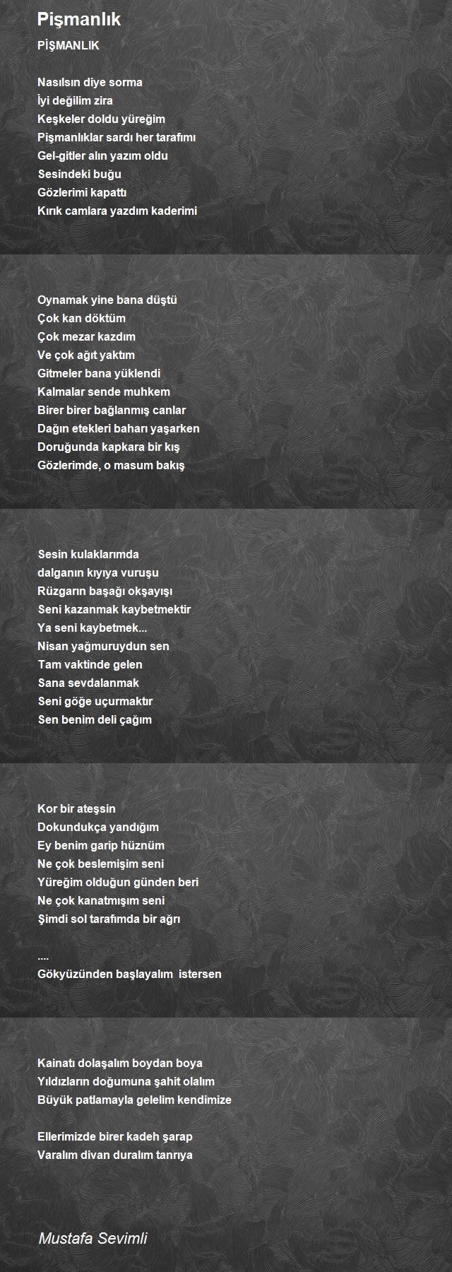 Mustafa Sevimli