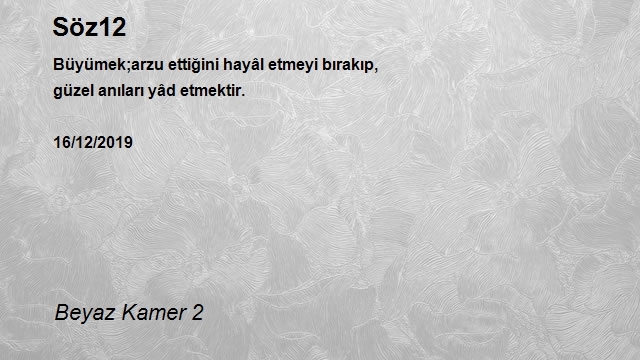 Beyaz Kamer 2