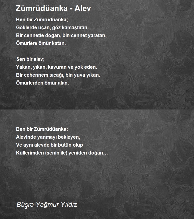 Büşra Yağmur Yıldız