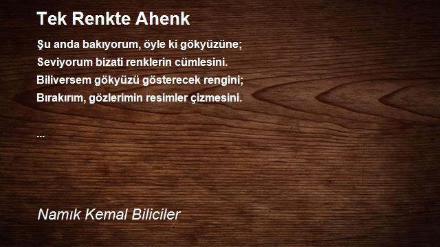 Namık Kemal Biliciler