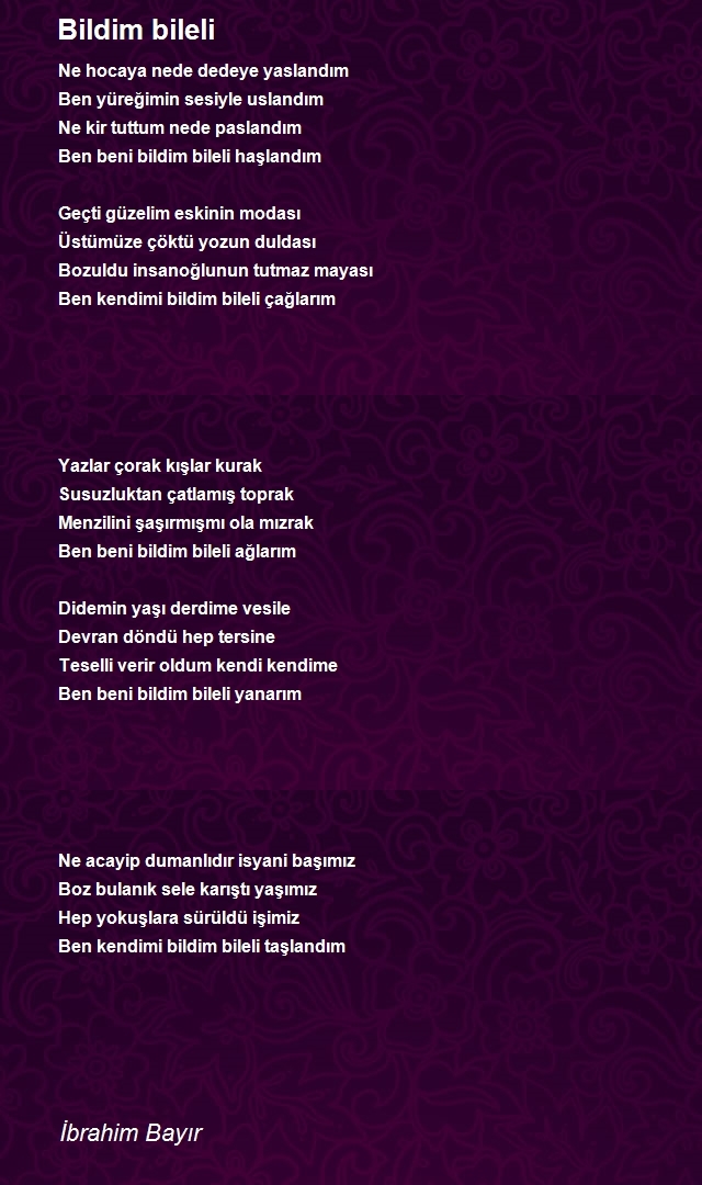 İbrahim Bayır