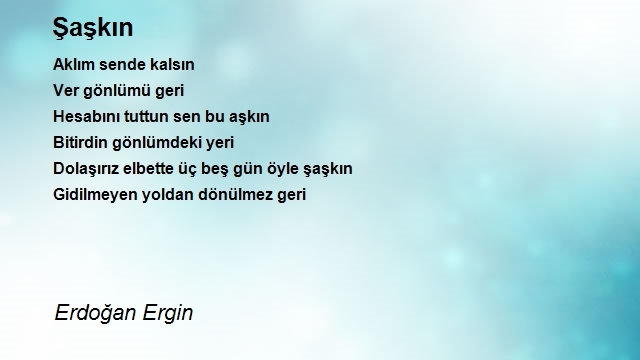 Erdoğan Ergin