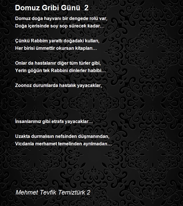 Mehmet Tevfik Temiztürk 2