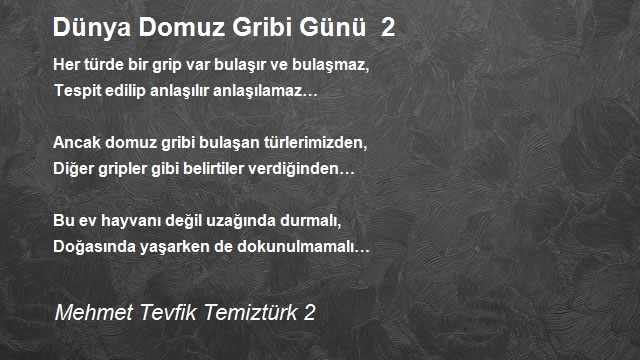 Mehmet Tevfik Temiztürk 2