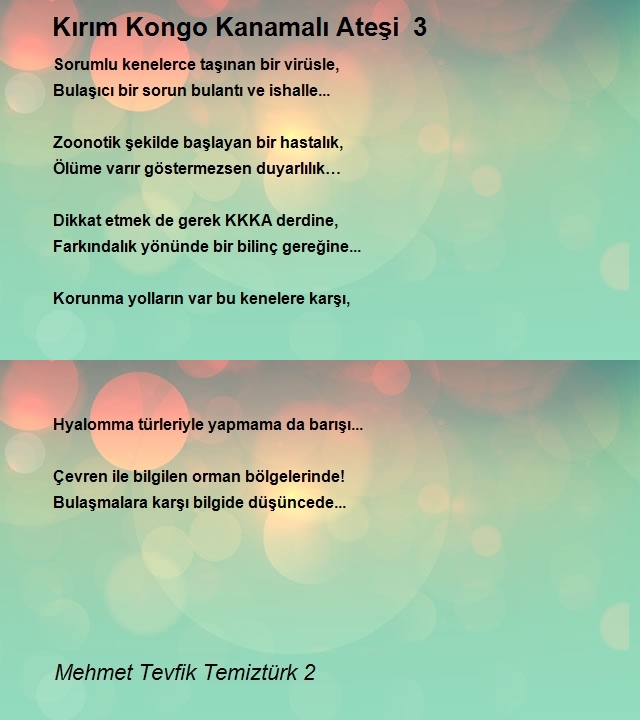 Mehmet Tevfik Temiztürk 2