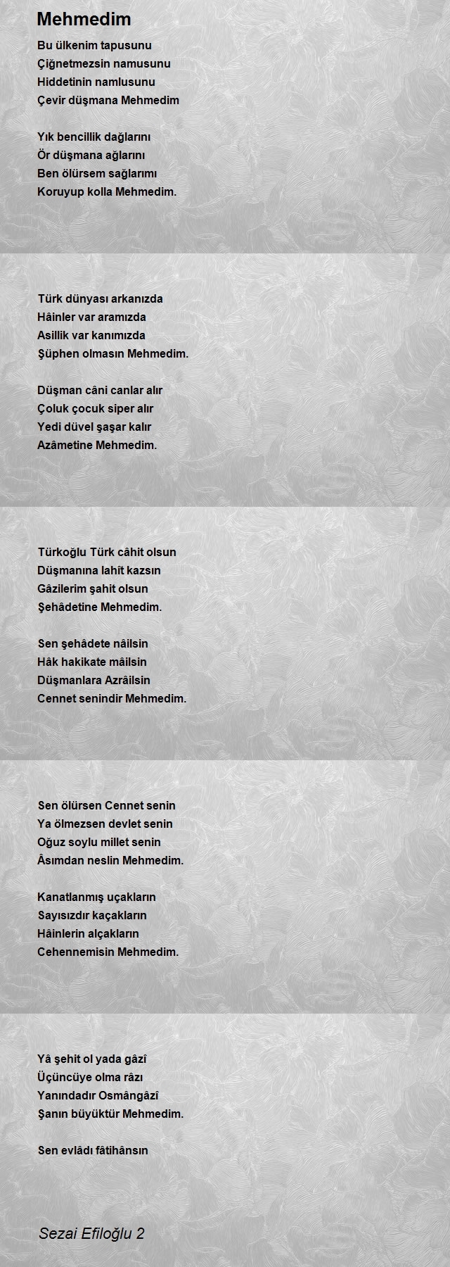 Sezai Efiloğlu 2