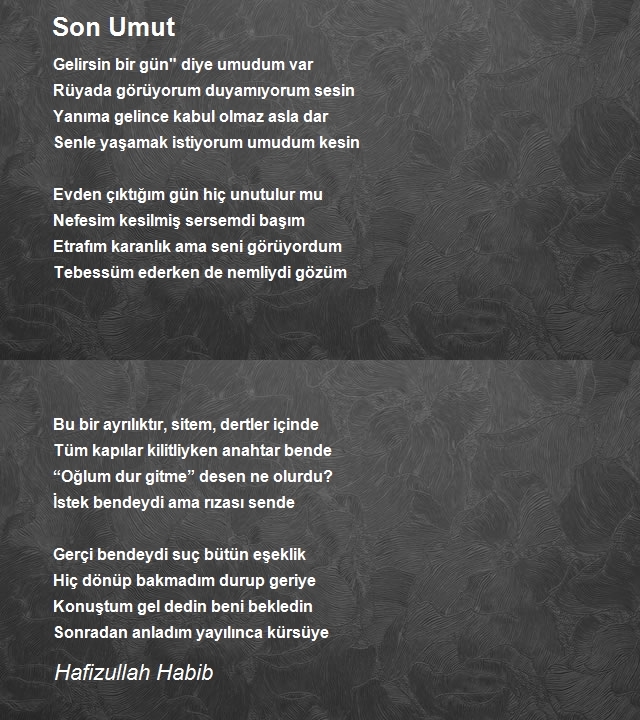 Yabancı Şair