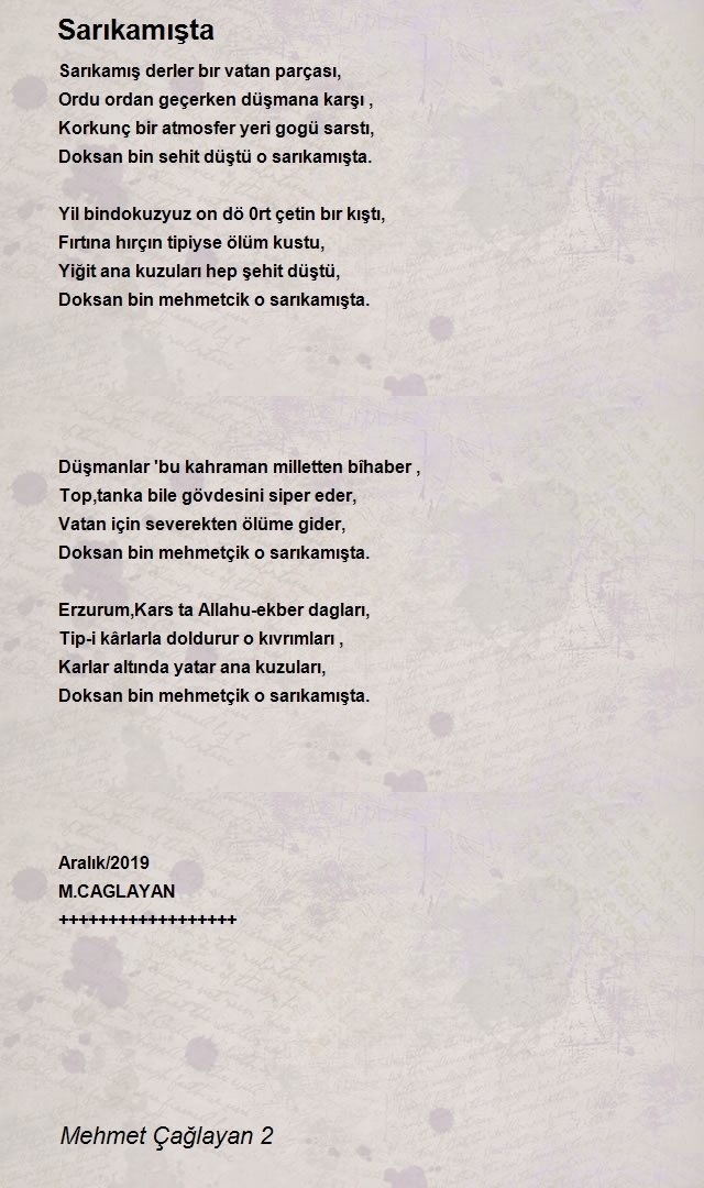 Mehmet Çağlayan 2