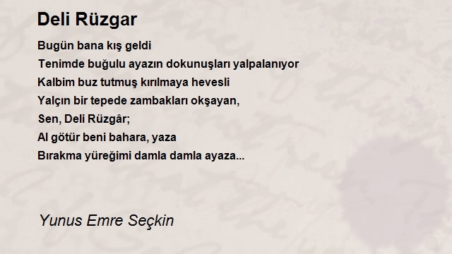 Yunus Emre Seçkin