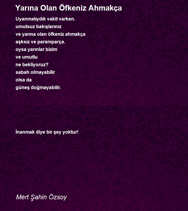 Mert Şahin Özsoy