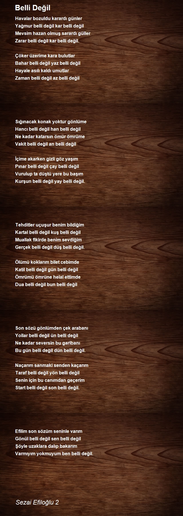 Sezai Efiloğlu 2