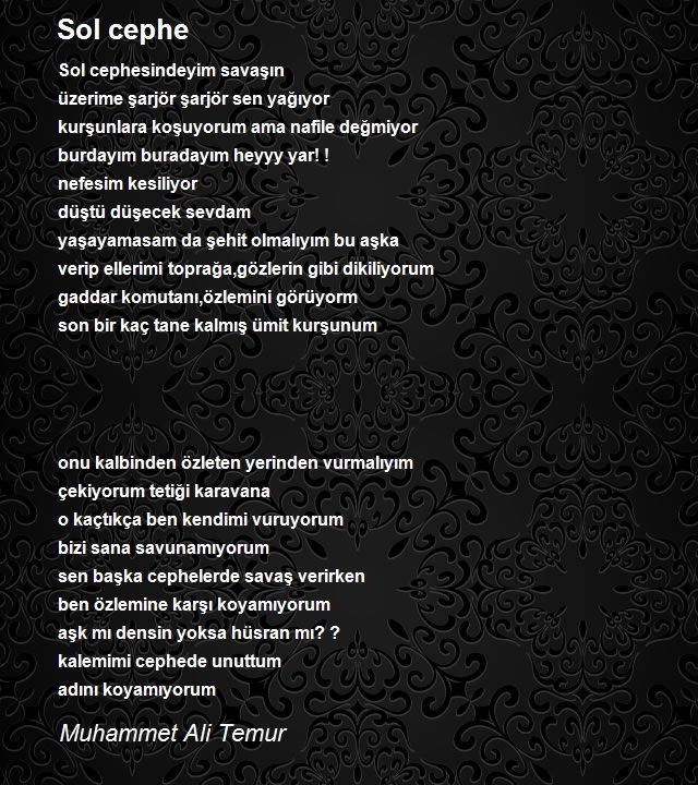 Muhammet Ali Temur