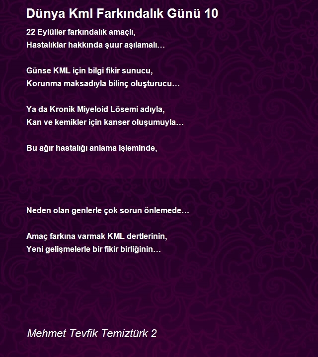 Mehmet Tevfik Temiztürk 2
