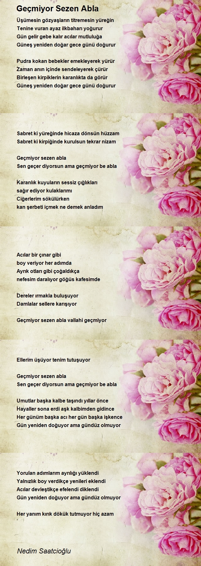 Nedim Saatcioğlu