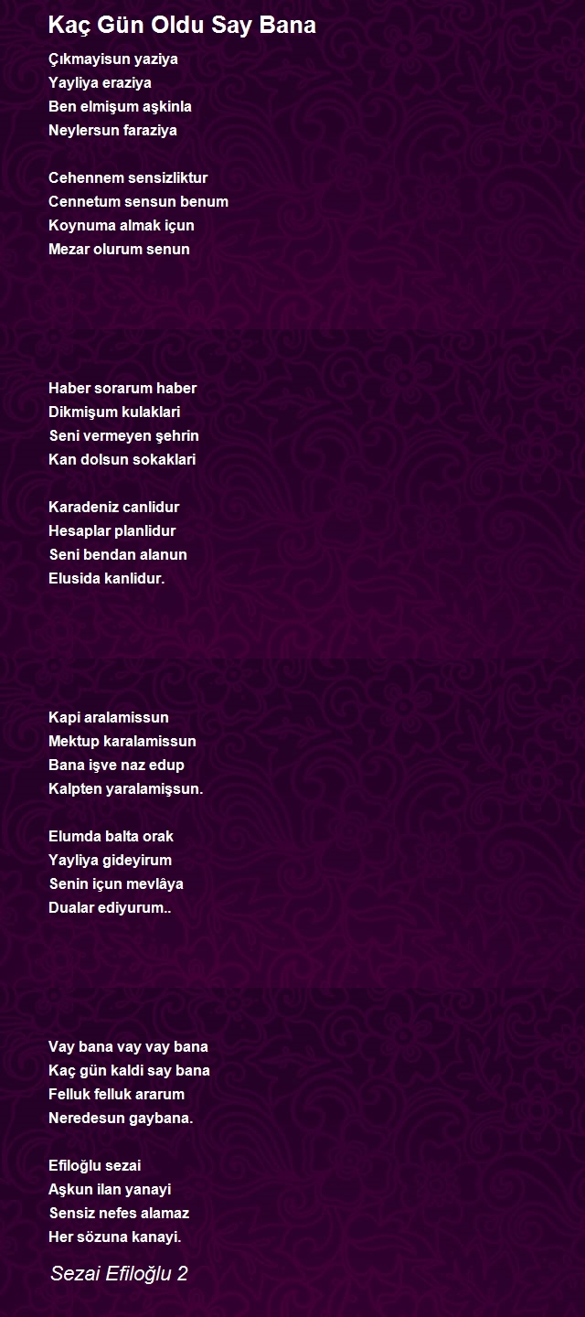 Sezai Efiloğlu 2