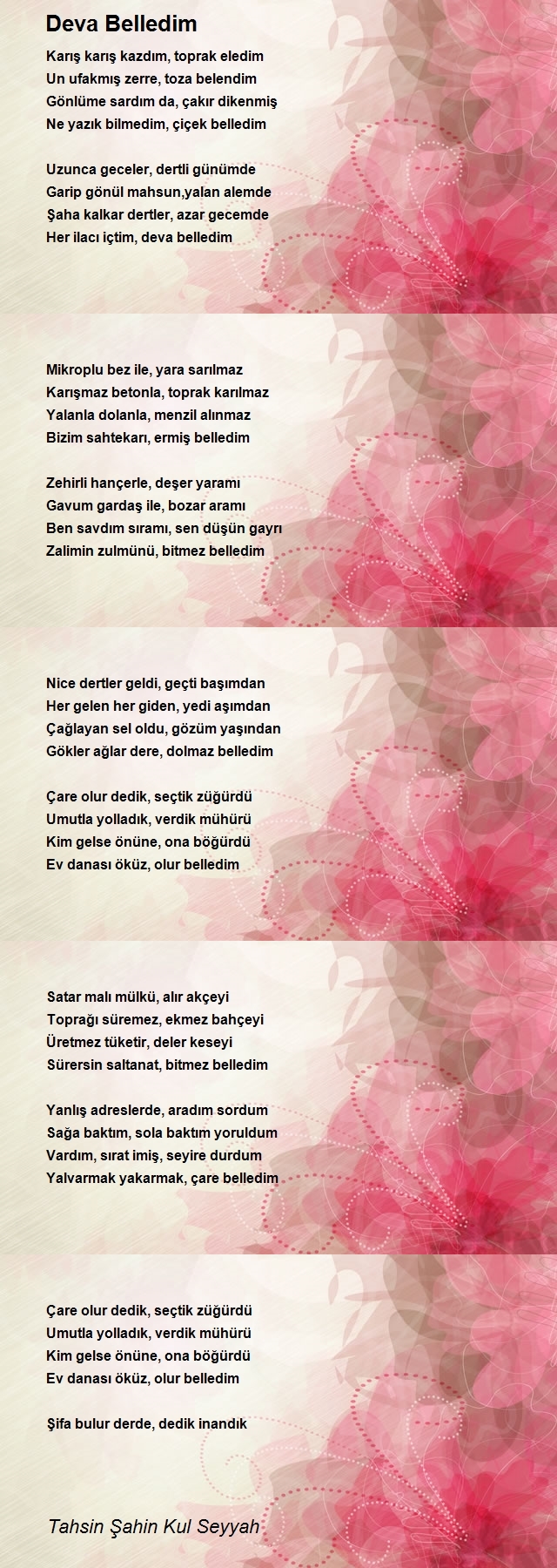 Tahsin Şahin Kul Seyyah