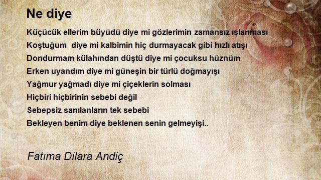 Fatıma Dilara Andiç