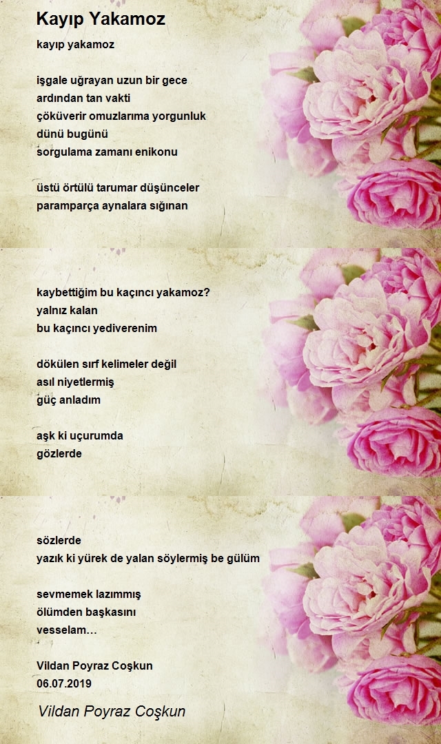 Vildan Poyraz Coşkun