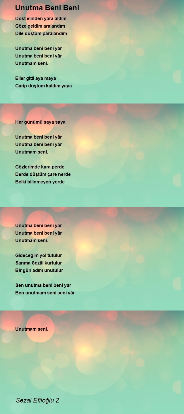 Sezai Efiloğlu 2