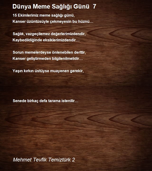 Mehmet Tevfik Temiztürk 2