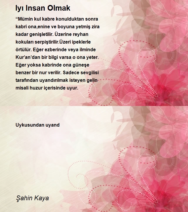 Şahin Kaya