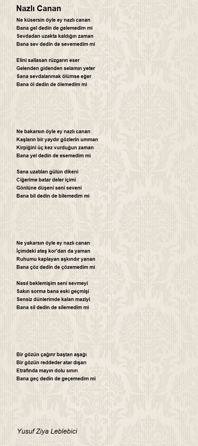 Yusuf Ziya Leblebici