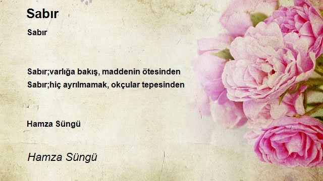 Hamza Süngü