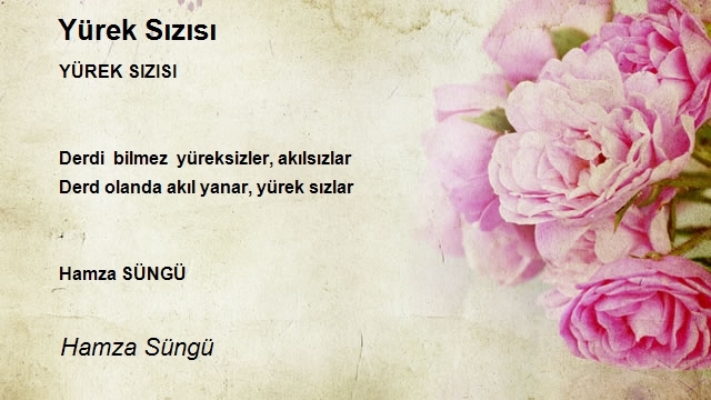Hamza Süngü