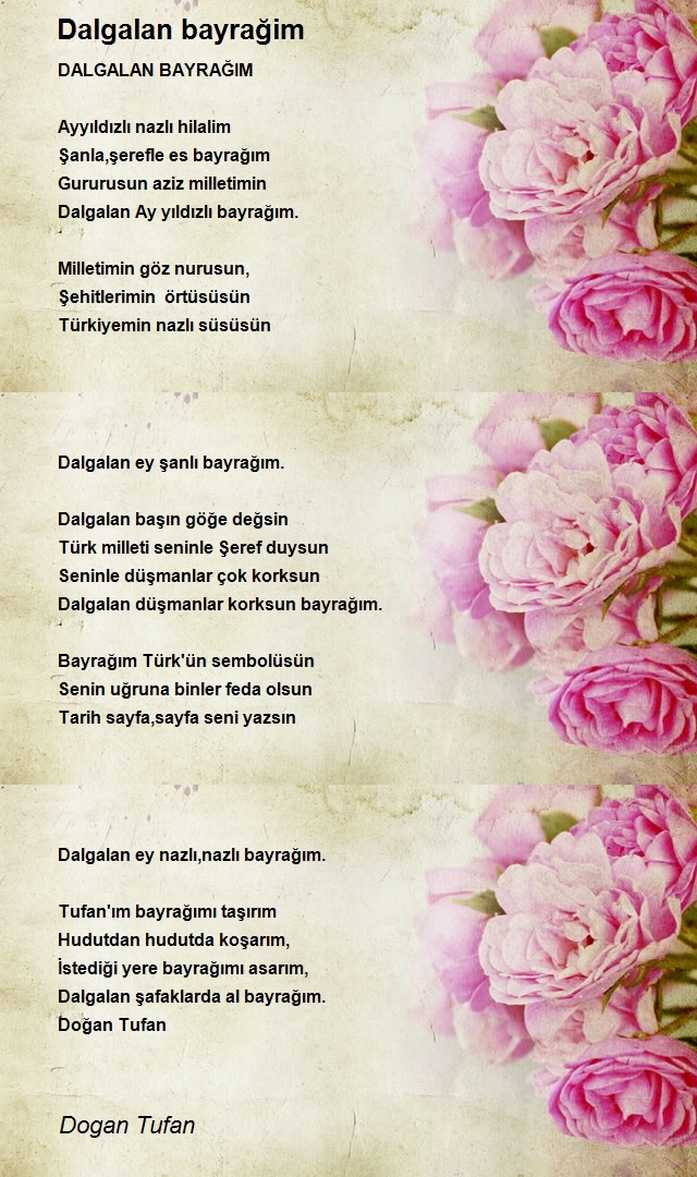 Dogan Tufan