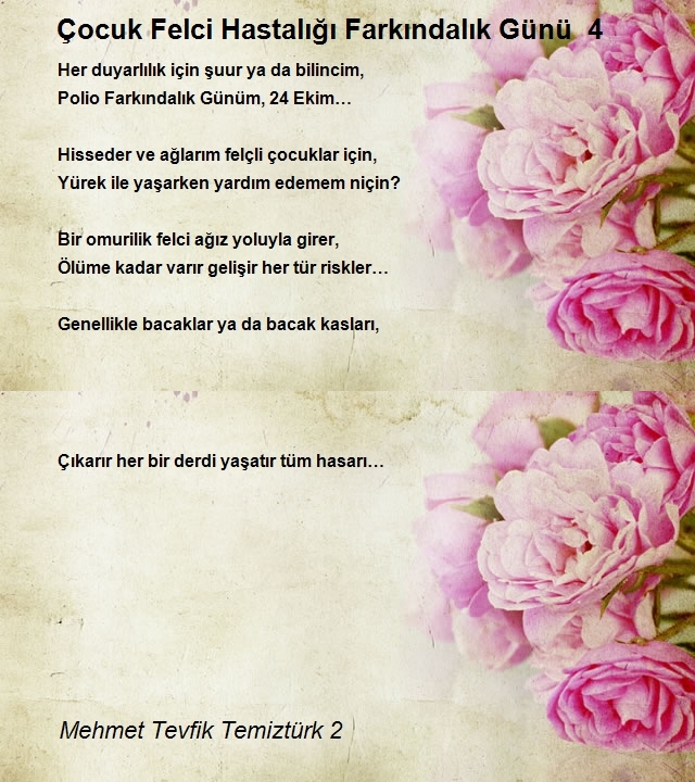 Mehmet Tevfik Temiztürk 2