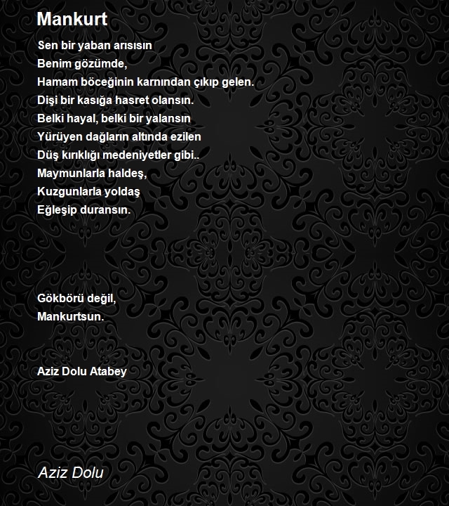 Aziz Dolu