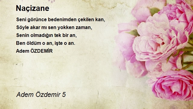 Adem Özdemir 5