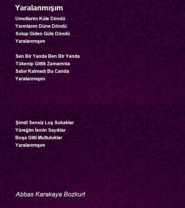 Abbas Karakaya Bozkurt