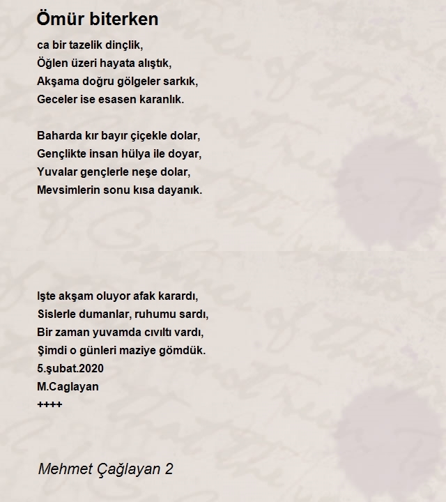 Mehmet Çağlayan 2