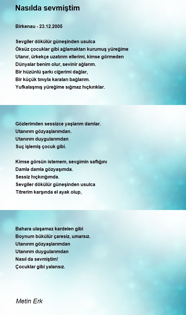 Metin Erk