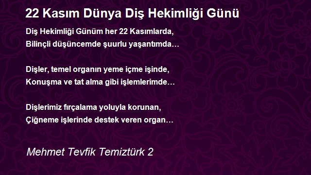 Mehmet Tevfik Temiztürk 2