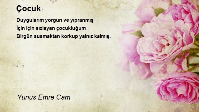 Yunus Emre Cam