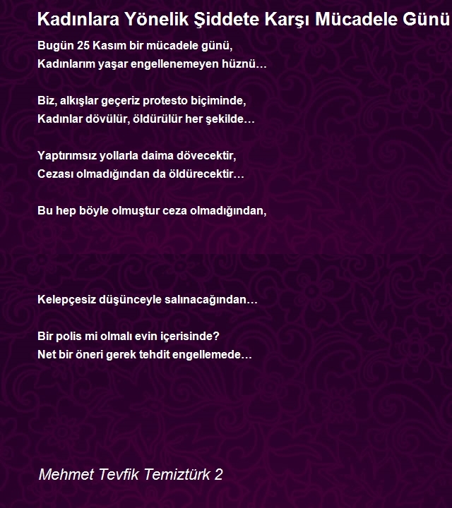 Mehmet Tevfik Temiztürk 2