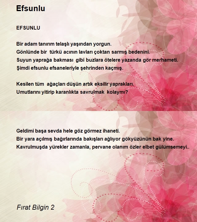 Fırat Bilgin 2