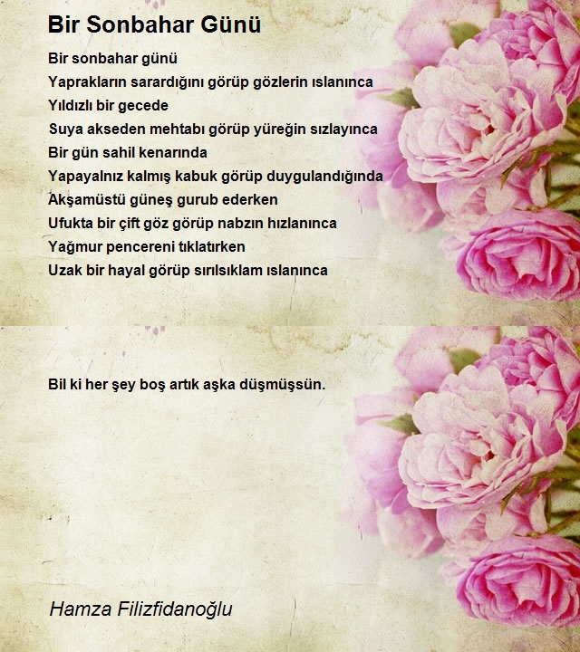 Hamza Filizfidanoğlu