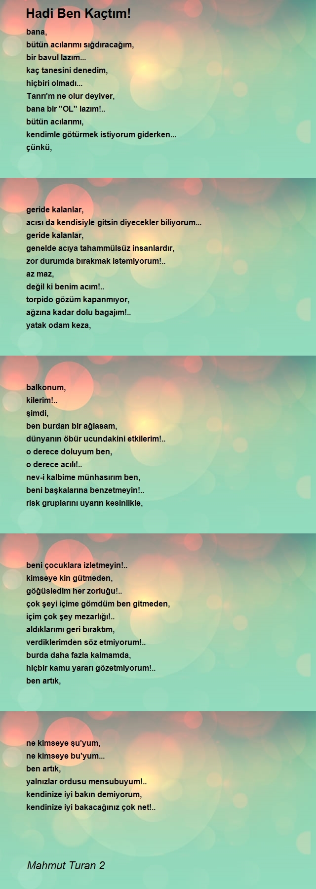 Mahmut Turan 2